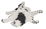 Marble